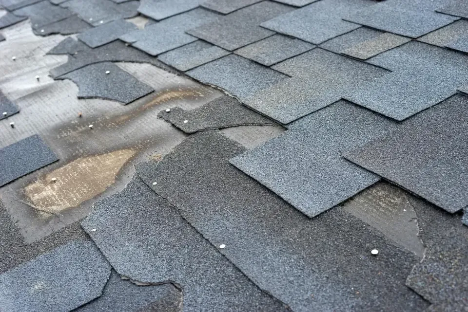 Missing asphalt shingle tabs exposing the layer below