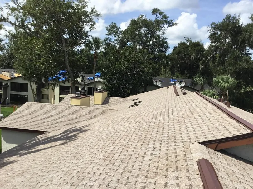 Shingle roof with several vents and chimney structures rising through the roof surface